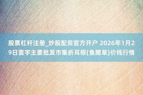 股票杠杆注册_炒股配资官方开户 2026年1月29日寰宇主要批发市集折耳根(鱼腥草)价钱行情